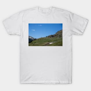 Colorado Cliff 2 T-Shirt